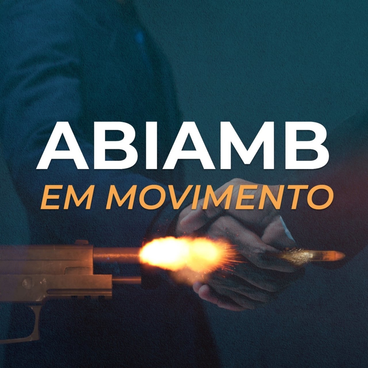 Associados - ABIAMB - Associação Brasileira de Importadores de Armas e  Materiais Bélicos